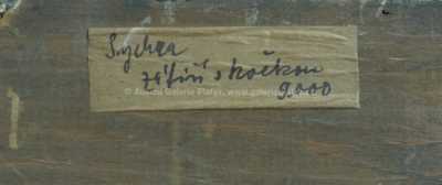  / Zátiší s kočkou / Vladimír Sychra