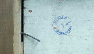  / Zátiší s kočkou / Vladimír Sychra