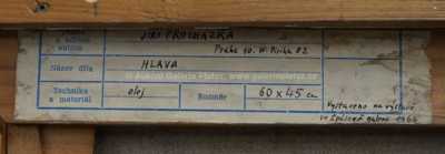  / Hlava / Jiří Procházka