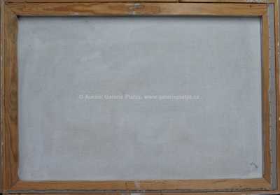  / Akty / Stanislav Bukovský