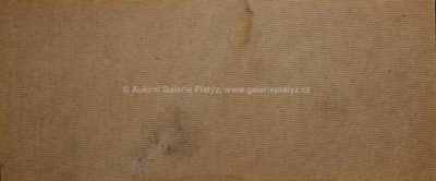  / Abstrakce / Rudolf Zich