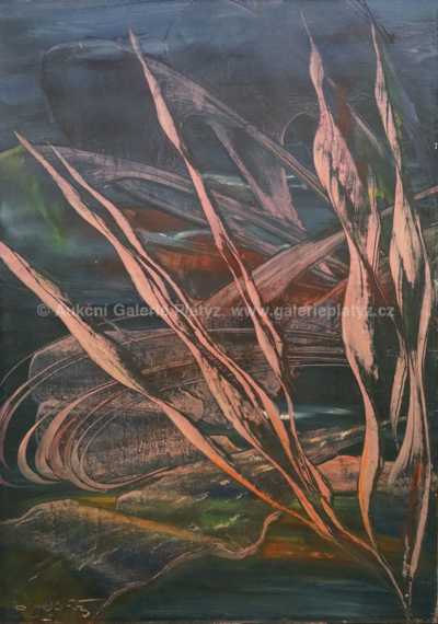  / Vegetace / Oldřich Michael Brož