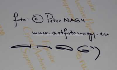  / Akt / Peter Nagy