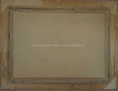  / Rybník / Jan Klos