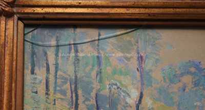  / Zarostlé břehy / Václav Radimský