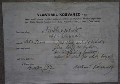  / Hudba v přírodě / Vlastimil  Košvanec