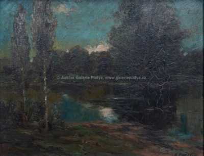  / Tůň / Ladislav Ehrlich