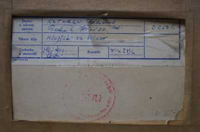  / Kluziště na Vltavě / Ferdinand Kotvald