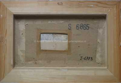  / Kluziště na Vltavě / Ferdinand Kotvald