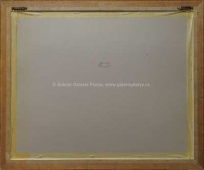  / Z cyklu Střelnice / Marie Čermínová - Toyen