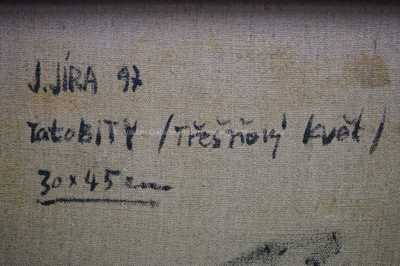  / Třešňový květ / Josef Jíra