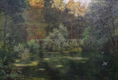  / Lesní tůň s ledňáčky / Jan Köppl