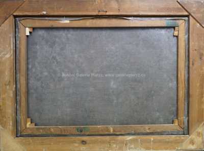  / Lesní tůň s ledňáčky / Jan Köppl