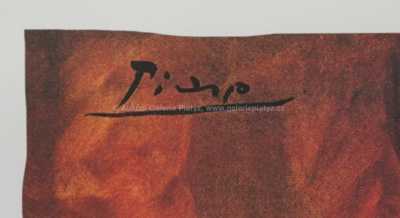  / Hlava / Pablo Picasso