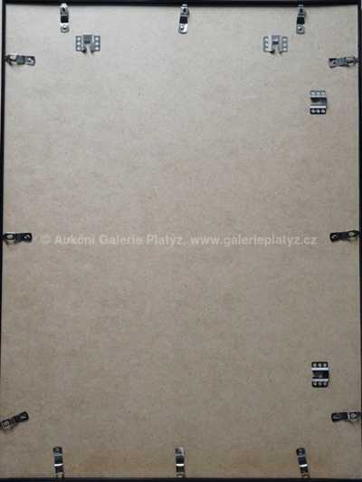  / Hlava / Pablo Picasso