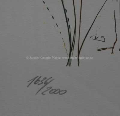  / Dvě dívky / Salvador Dalí