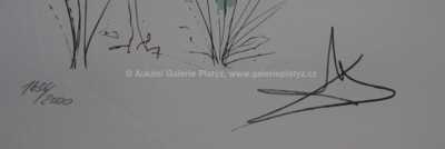  / Dvě dívky / Salvador Dalí