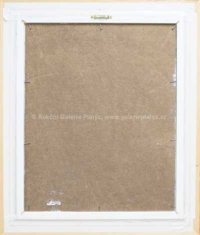  / Zimní potok / Jiří Skořepa