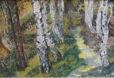  / Břízy v lese / Alois Kalvoda