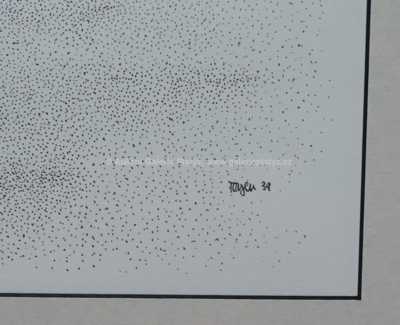  / Cyklus Střelnice - kočka / Marie Čermínová - Toyen