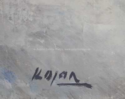  / U rybníka / Jan  Kojan