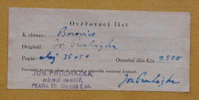  / Borovice / Josef Procházka