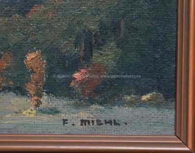  / Šumavský motiv / František Michl