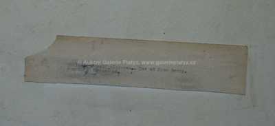  / Zátiší s kočkou / Antonín Pelc