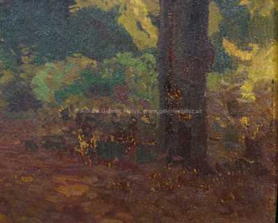  / Lesní motiv / Roman Havelka