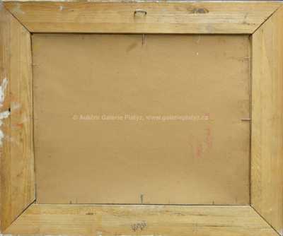  / Lesní motiv / Roman Havelka