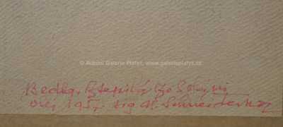  / Bedla stepilá / Alois Schneiderka