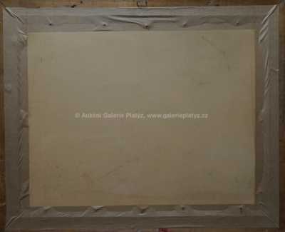  / Vikářská ulice / Bedřich  Feigl