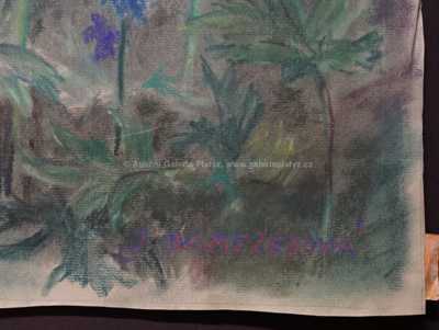  / Konvolut tří kusů / Julie Mezerová-Winterová