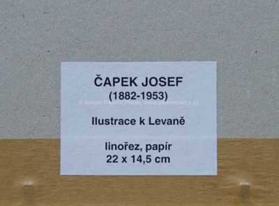  / Ilustrace k Levaně / Josef Čapek