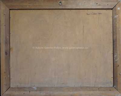  / Před bouří / Viktor  Rolín