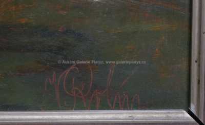  / Před bouří / Viktor  Rolín