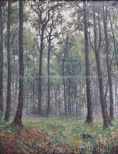  / Lesní interier / František Líbal