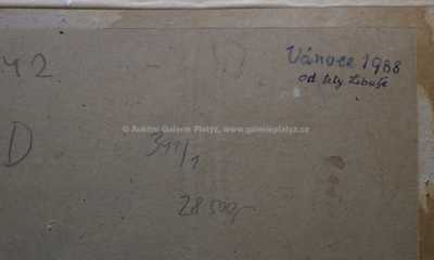  / Hazard / Josef Hlinomaz