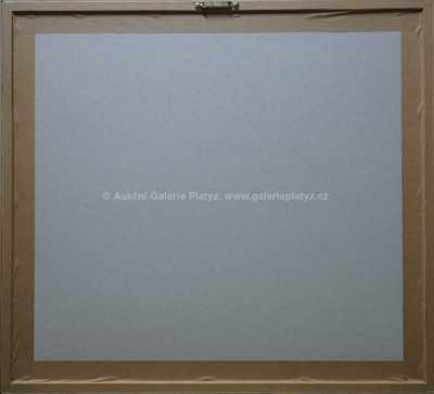  / Řetězový most / František  Tichý