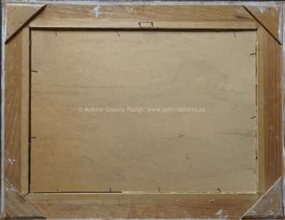  / Krajina s vesnicí / Jan Slavíček