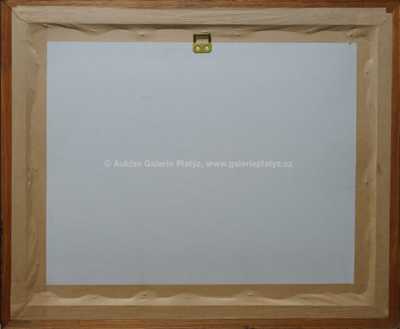  / Z cyklu Střelnice / Marie Čermínová - Toyen