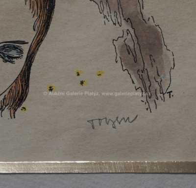  / Dívka se sovou / Marie Čermínová - Toyen