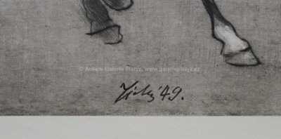  / Krasojízda / František  Tichý