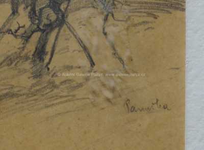  / Stará chaloupka / Jaroslav Panuška