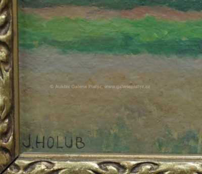  / Vysoké nebe /  Josef Holub
