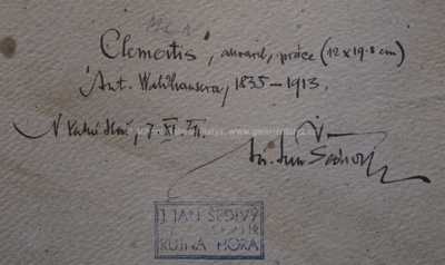  / Clematis / Antonín Waldhauser 