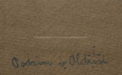  / Podzim / Jan Honsa