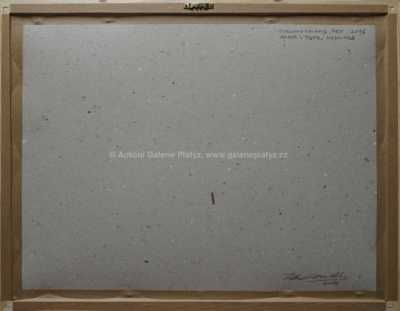  / Tyrannosaurus rex / Petr Modlitba