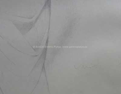  / Akt / Jaroslav Veris (Zamazal)