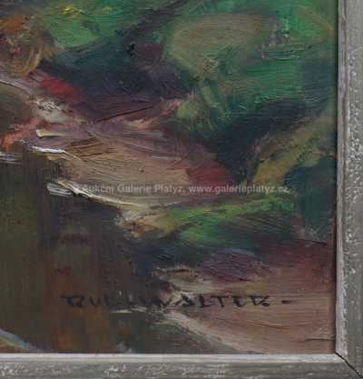  / Potok / Rudolf  Walter